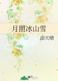 月照冰山雪