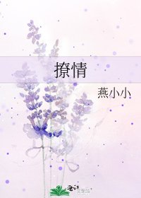 撩情